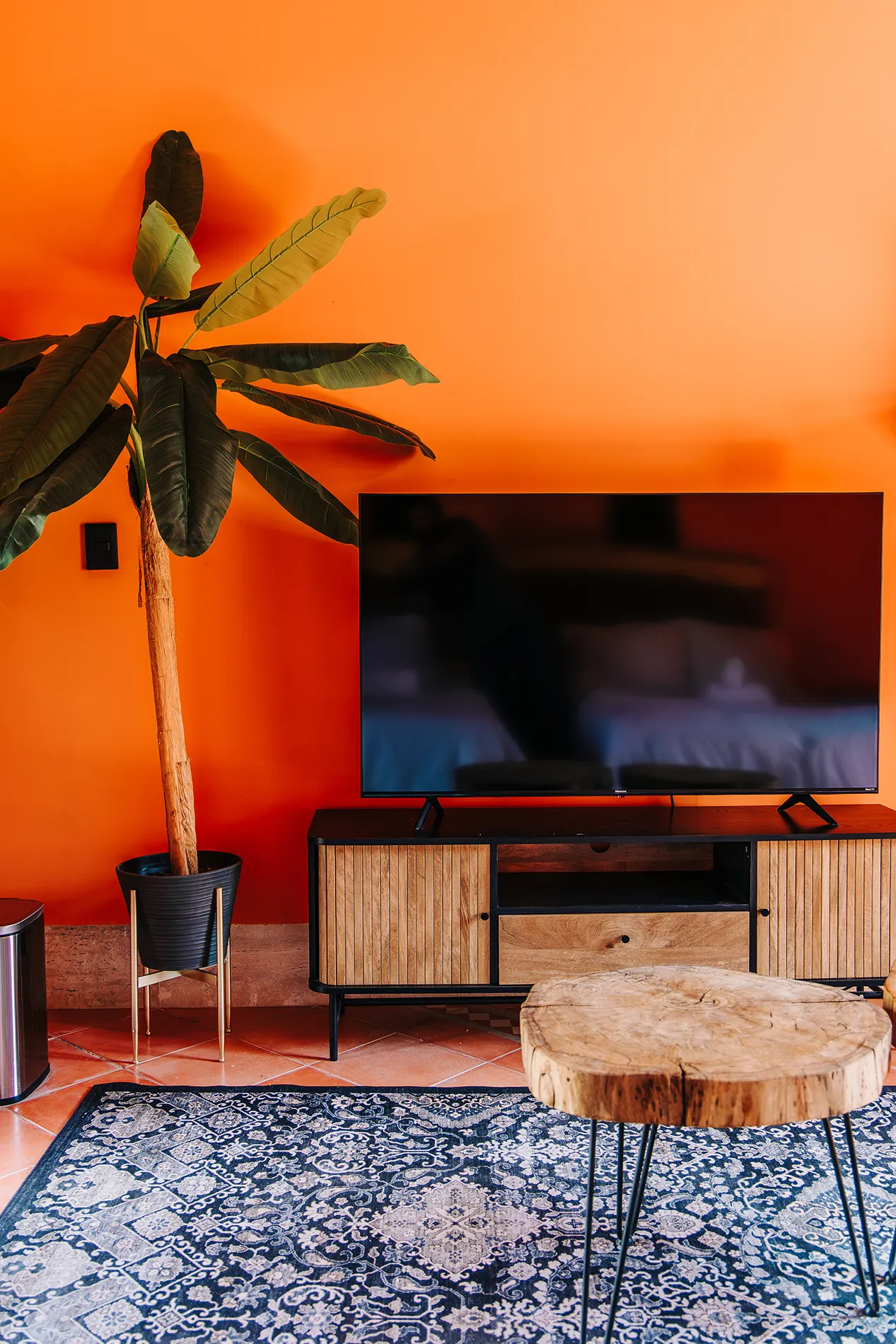 Área de entretenimiento en habitación 8 de Casa Grande Rio - hotel boutique en Rioverde con Smart TV sobre mueble de madera, planta tropical decorativa, pared naranja y alfombra azul con diseño tradicional.