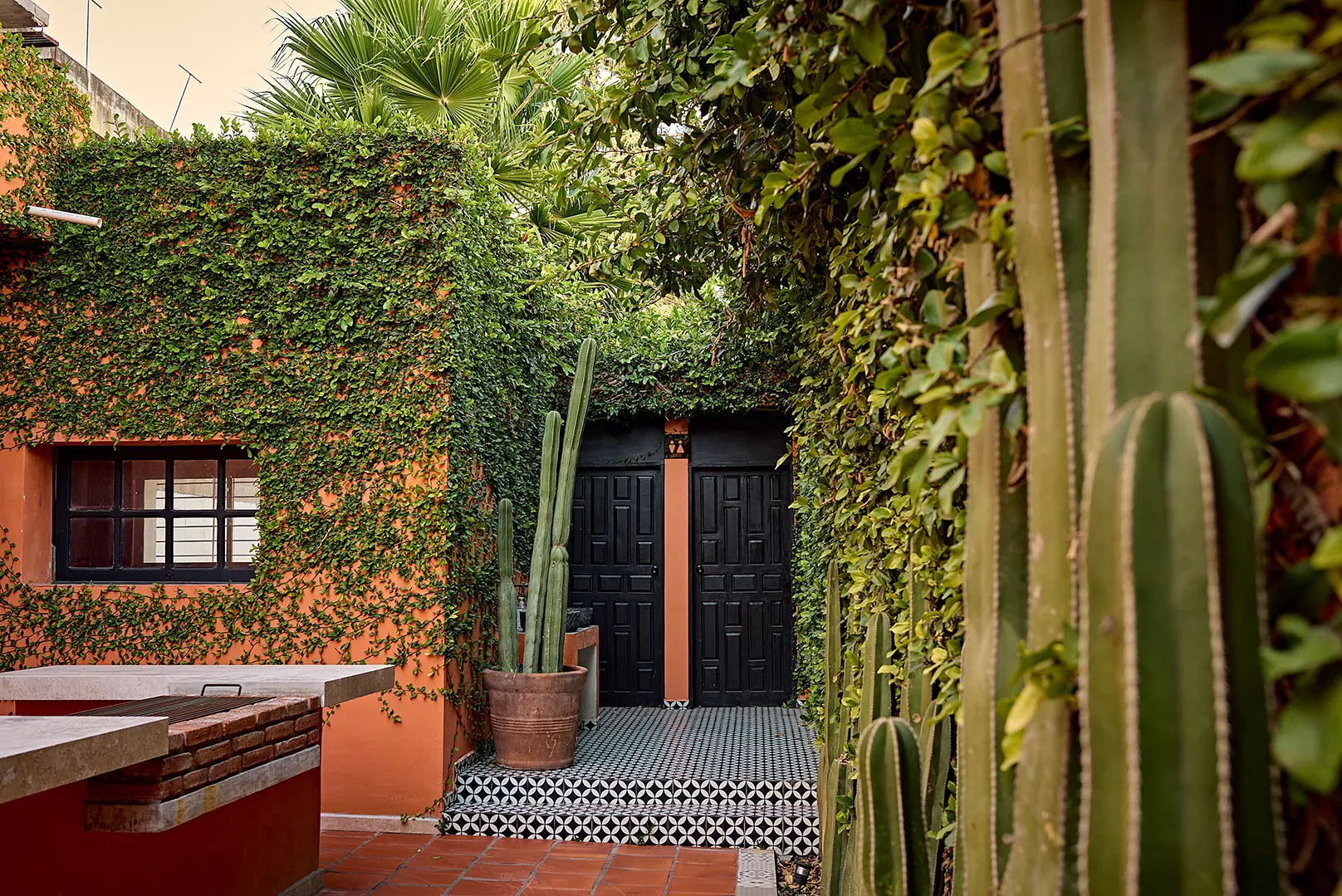 Patio exterior de Casa Grande Río con muros cubiertos de hiedra, cactáceas en macetas, piso de mosaico artesanal y detalles de arquitectura colonial moderna en Rioverde.